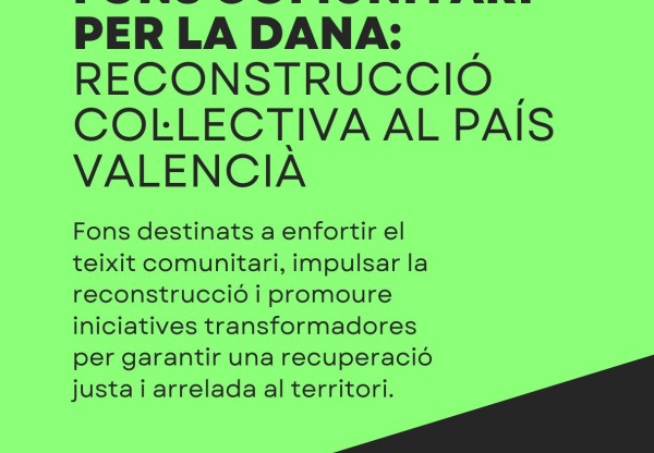 Imagen de cabecera de Fondo comunitario DANA: respuesta colectiva para el País Valencià