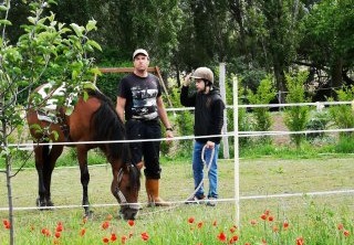 Imagen de cabecera de Caminando con Caballos