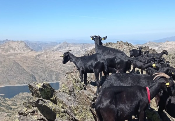Imagen de cabecera de Camins de Vida