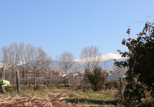 Imagen de cabecera de La Cabaña abriga el Bosque-escuela