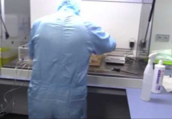 Imagen de cabecera de Cáncer CMC 
