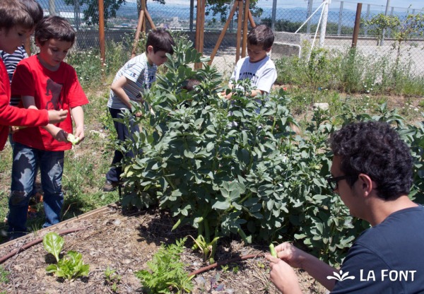 Imagen de cabecera de Ampliació del Centre Educatiu Waldorf La Font