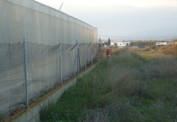 Imagen de cabecera de Huerto Social Retama