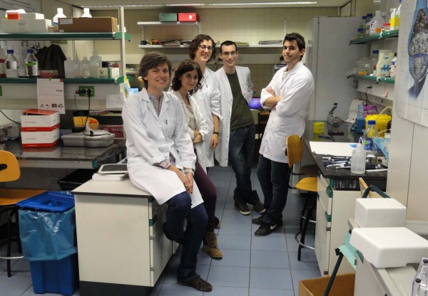 Imagen de cabecera de SOS investigació en Parkinson