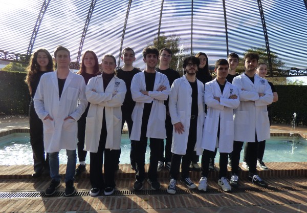 Imagen de cabecera de Biología sintética para enfrentar una amenaza desconocida: las aflatoxinas