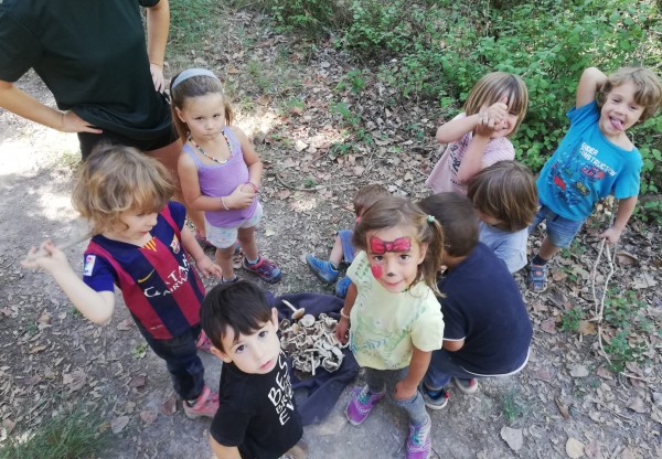 Imagen de cabecera de Escuela Del Bosque