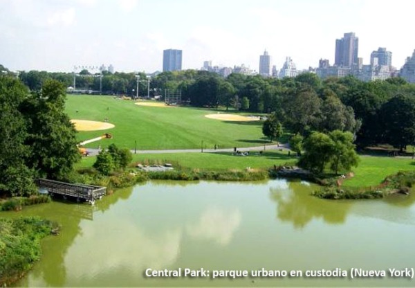 Imagen de cabecera de Una hoja de ruta para la custodia urbana