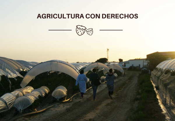 Imagen de cabecera de Agricultura con derechos