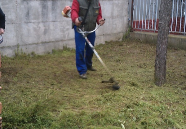 Imagen de cabecera de Huerto Urbano 