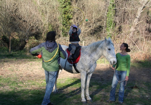 Imagen de cabecera de Asociación Terapia Ecuestre Pegaso