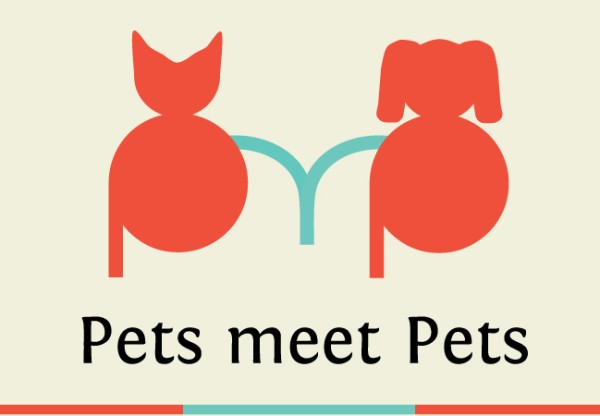 Imagen de cabecera de Pets meet Pets