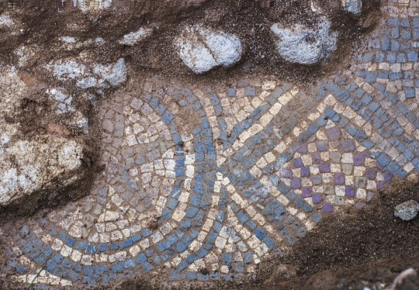 Imagen de cabecera de Excavación del Mosaico de La Estaca