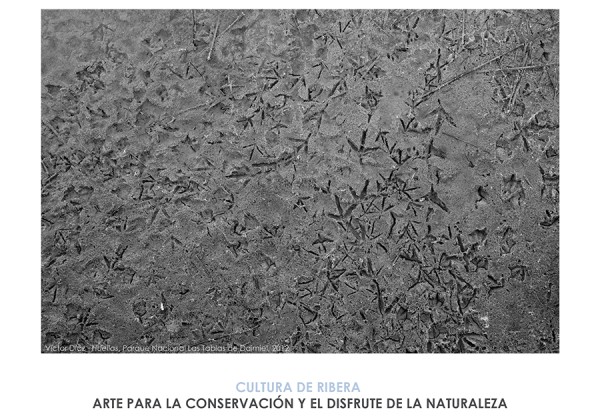 Imagen de cabecera de I Jornadas Arte, Ecología y Uso Público de Espacios Naturales Protegidos