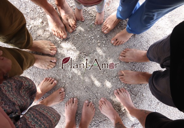 Imagen de cabecera de La comunidad PlantAmor compra tierra para lanzar sus semillas!