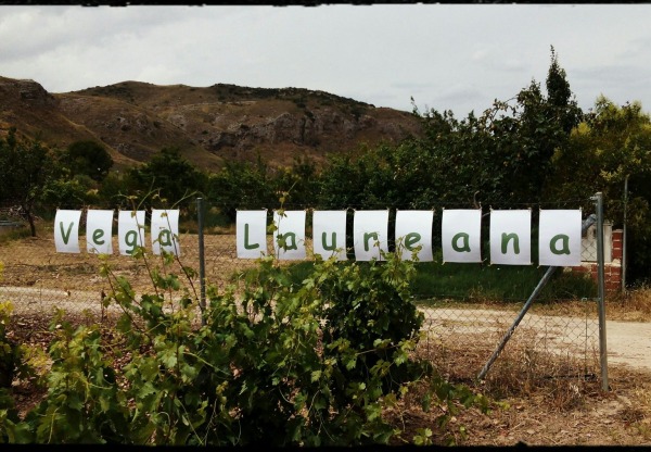 Imagen de cabecera de Vega Laureana