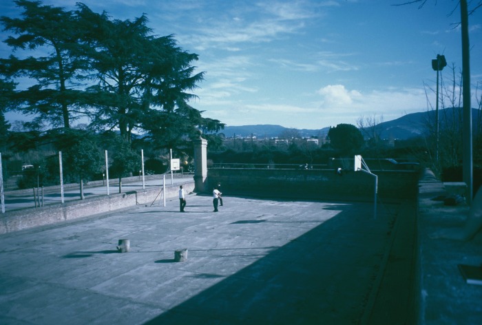 0-524.jpg