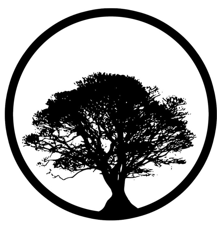 arbol-1.jpg