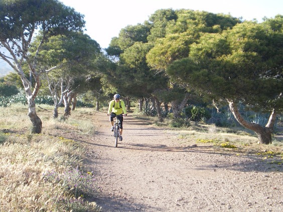 bici.jpg