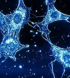 cancer-metastasis.jpg
