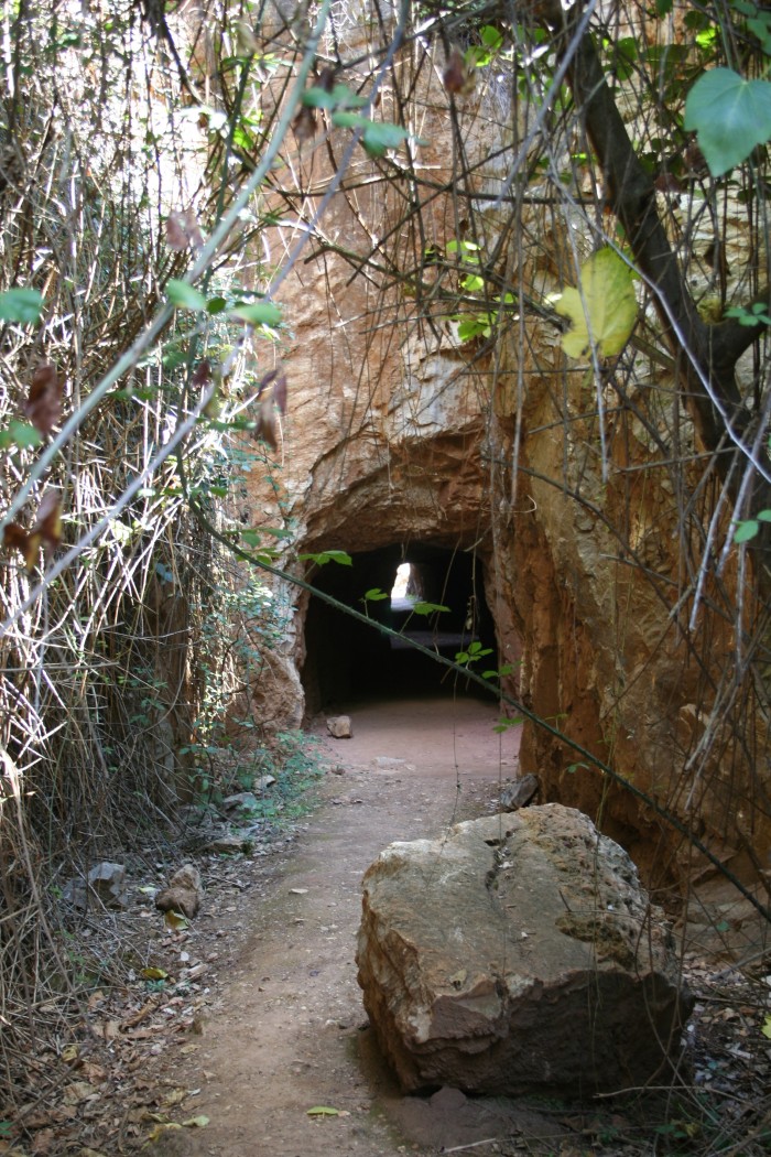 cerro-8r.jpg