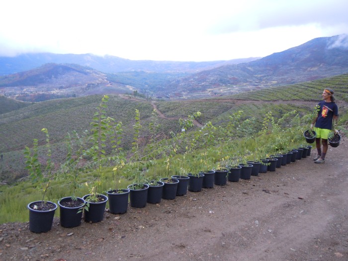 dscn0493.jpg