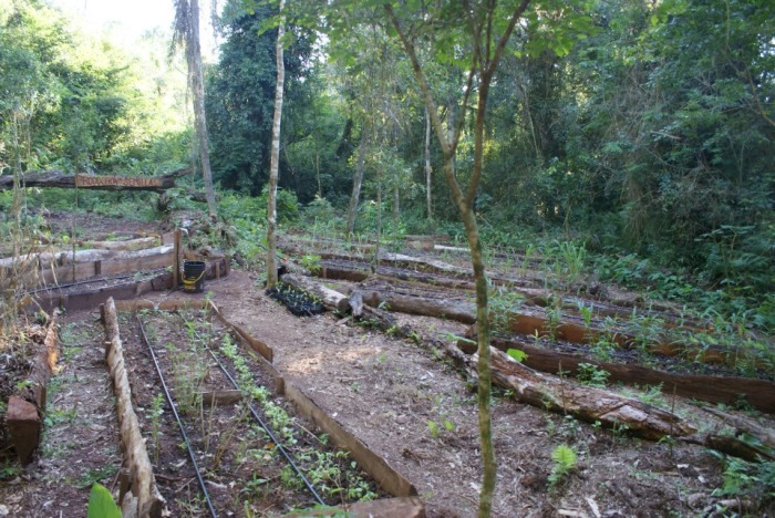 huerta.jpg