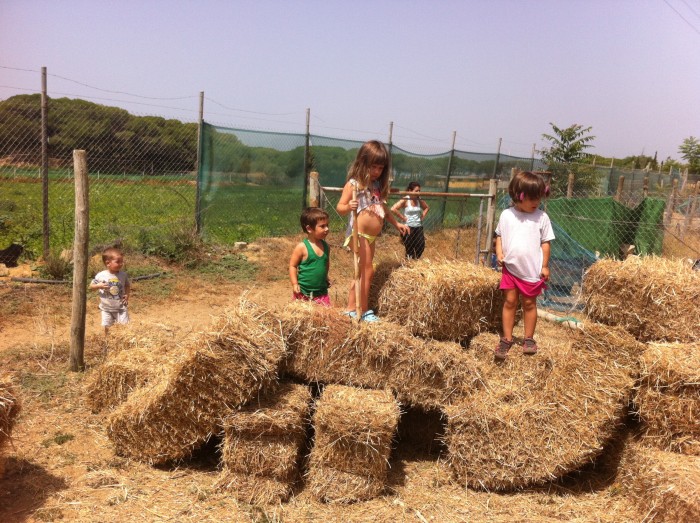 img-0997.jpg
