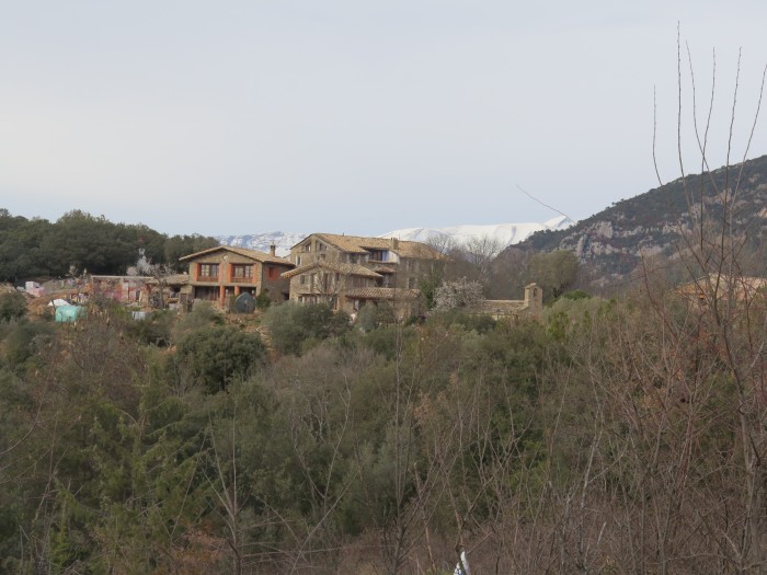 img-1.jpg