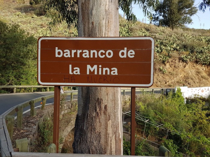 la-mina5.jpeg