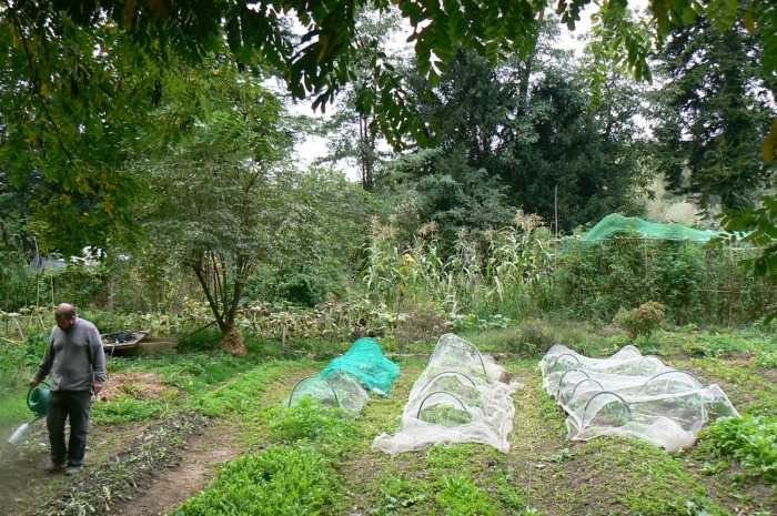 p1120175.jpg