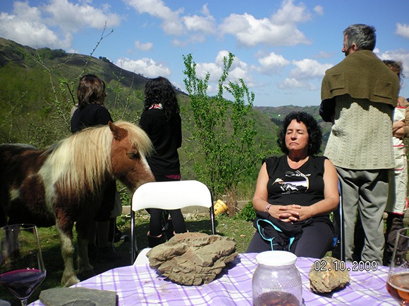 sany0142.jpg