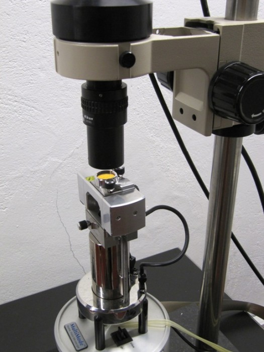 03.-foto-afm.jpg
