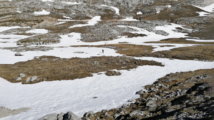 09-picos.png