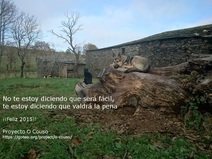 VALDRÁ LA PENA... ¡FELIZ 2015!