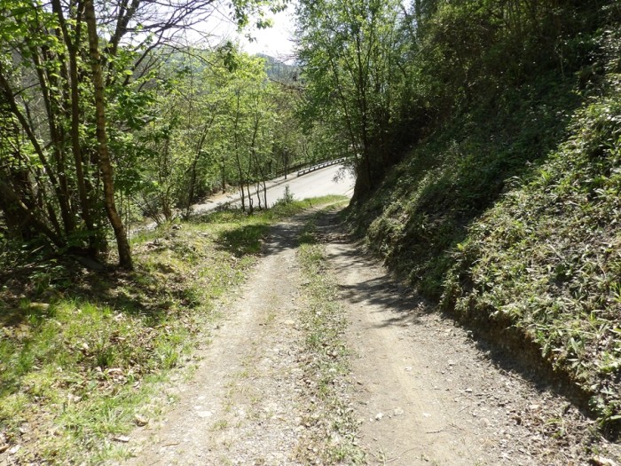100-3479.jpg