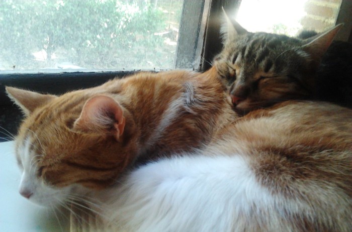 2013-06-24-16.52.31.jpg
