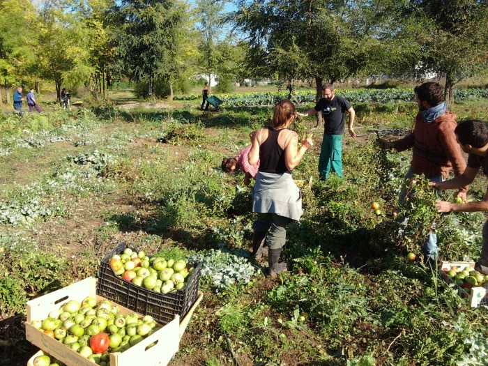 2013-10-27-10.43.33.jpg