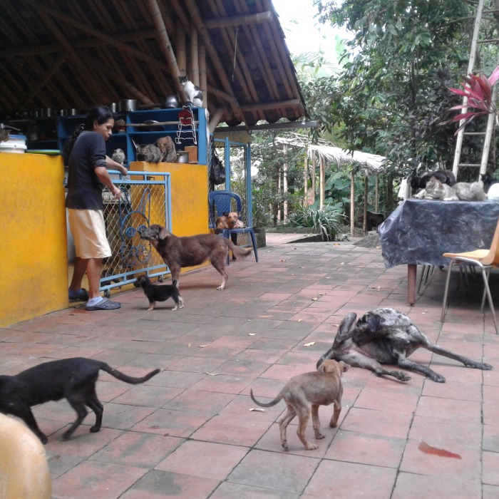 20170625-081543.jpg