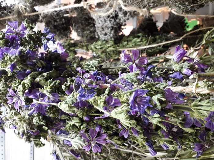 20190420-075136.jpg