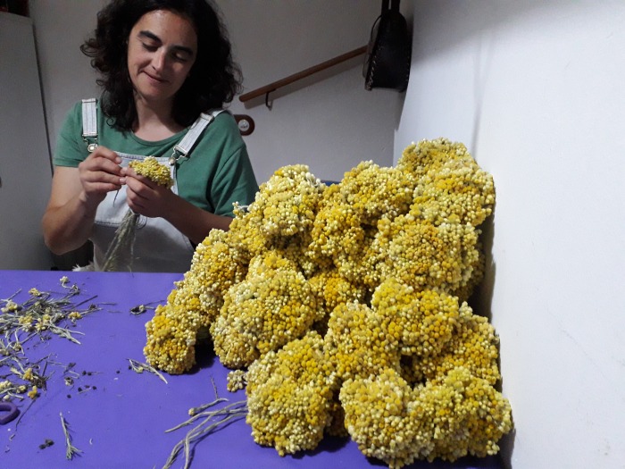 20190526-013127.jpg