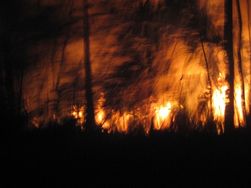 Incendios forestales en España: La tragedia que no cesa