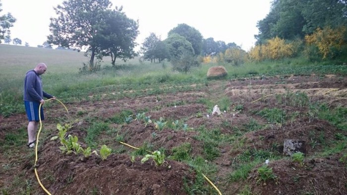 LA ASOCIACIÓN NATURAL
