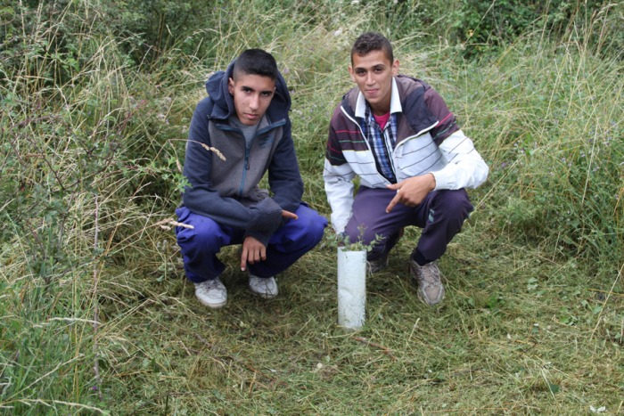 acondicionamientoyplanacion04.jpg