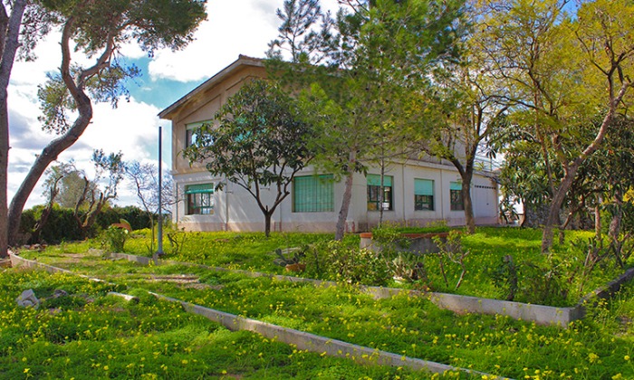 carrusel-23.jpg