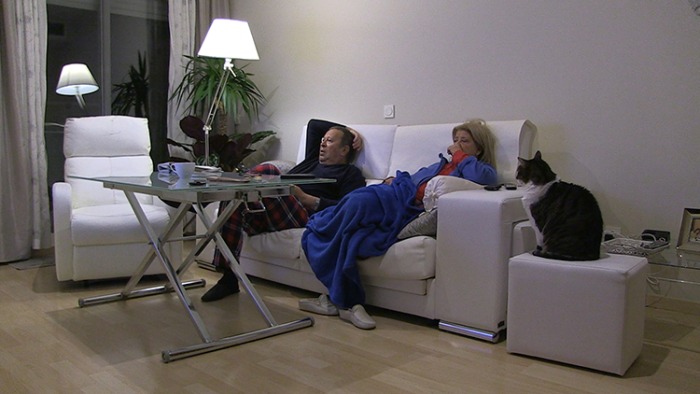 carrusel1-sofagato.jpg