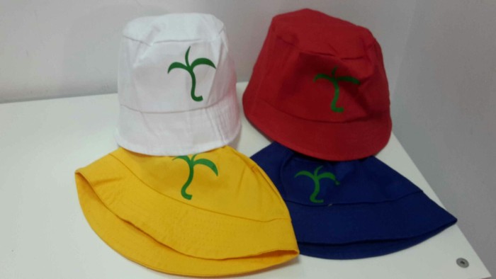 chapeus.jpg
