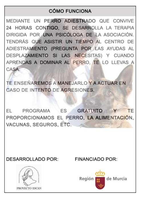 como-funciona-escan.jpg