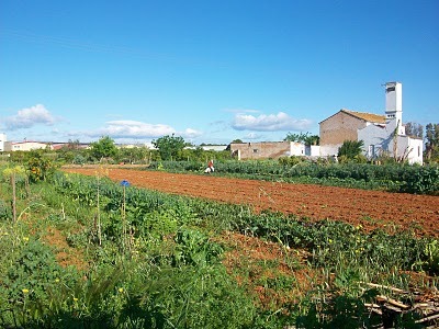 copia-de-100-1468.jpg