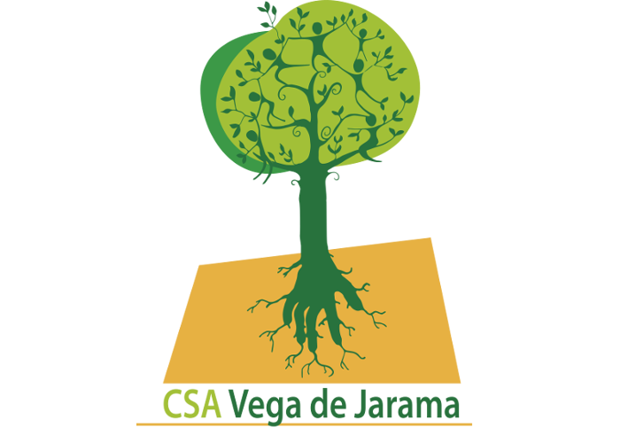 csa-logo-3.png