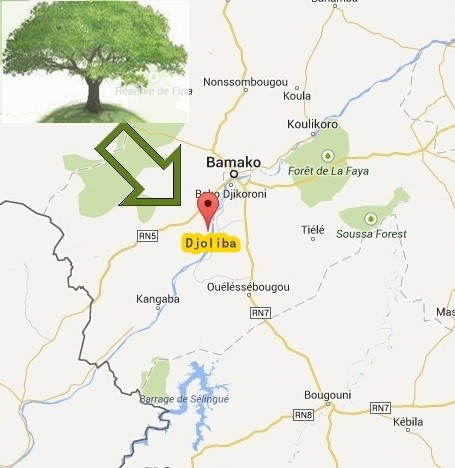 djoliba-mapa.jpg